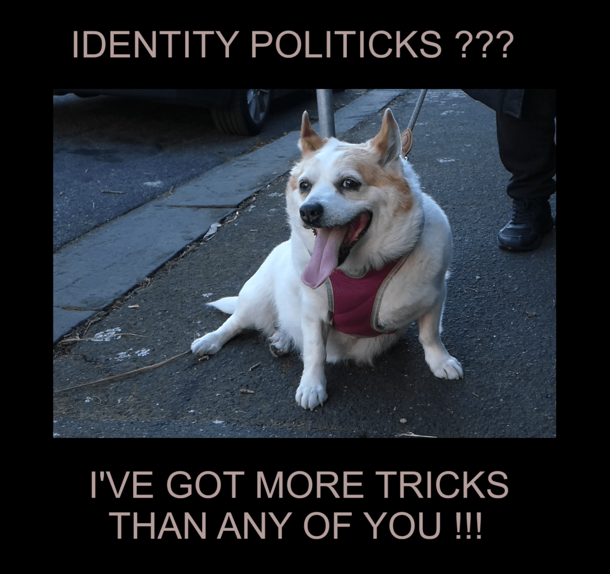 IDENTITY  POLITRICKS