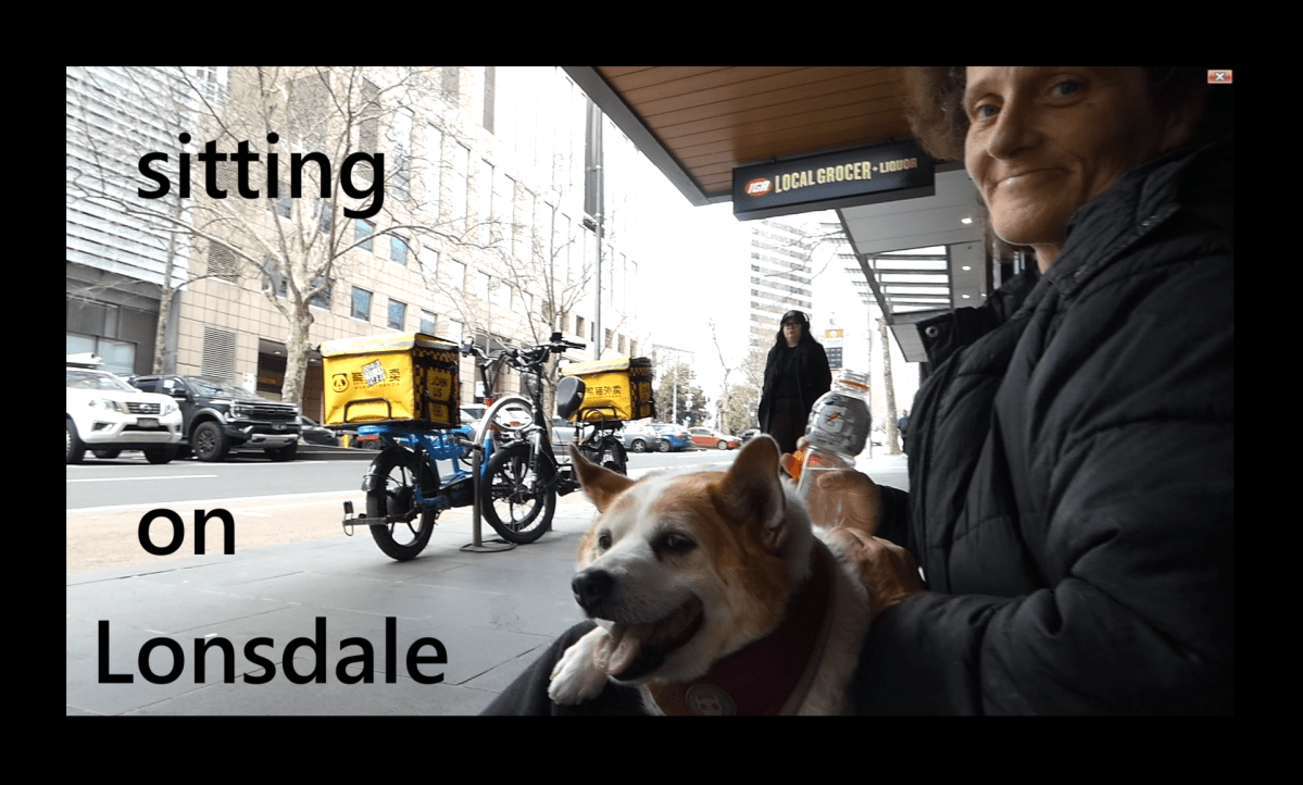 Rainbow Lorikeet Homes